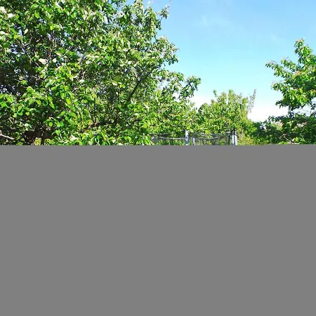 Apartment In Labin/Istrien 8760 Holiday home *